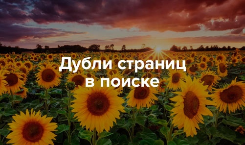 Автор: Салихов Ф.Н.