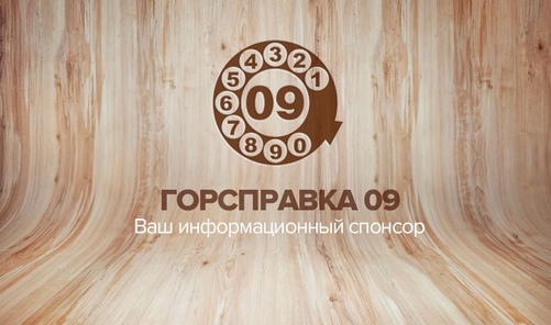 Разработали логотип для городской службы Горсправка 09